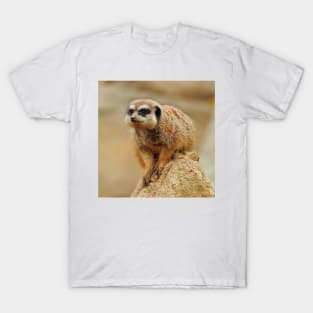 Meerkat 066 T-Shirt